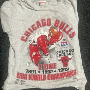 Vintage single stitched Chicago Bulls Gray Short Sleeve Tee